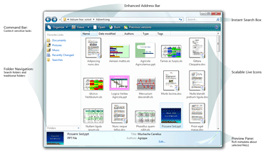 Windows Vista User Experience with Scalable Live Icons, Instant Search, and Details Pane